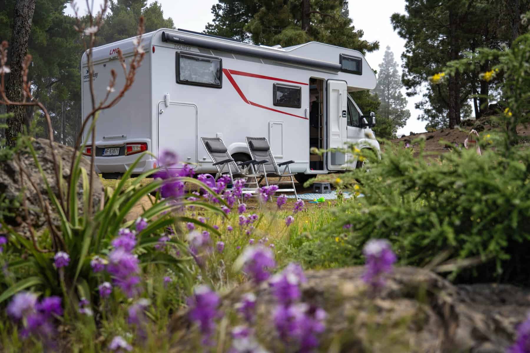 LMC Tourer A690 Foxes in Eden Editon, zdjęcie 5